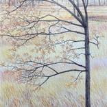 End of Summer by Ray Brandolino