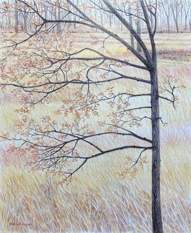 Original Contemporary Landscape Drawings by Ray Brandolino