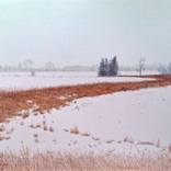Winter with Colour Pencils by Ray Brandolino