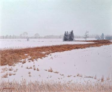 Original Contemporary Landscape Drawing by Ray Brandolino