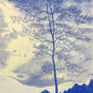 Blue Evening
