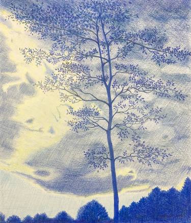 Original Contemporary Landscape Drawing by Ray Brandolino