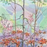 Fall Colours by Ray Brandolino