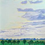 Above the Tree Tops by Ray Brandolino