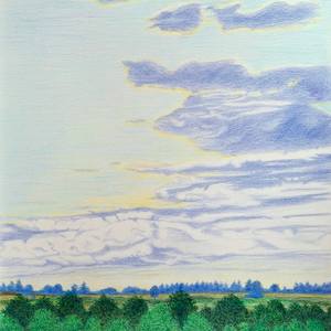 Above the Tree Tops