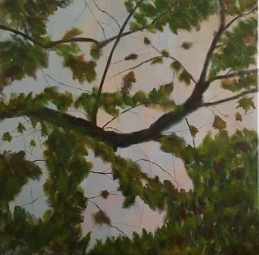 Original Fine Art Tree Paintings by Paola Consonni