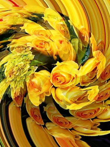 Original Abstract Floral Photography by Sarah Scherf