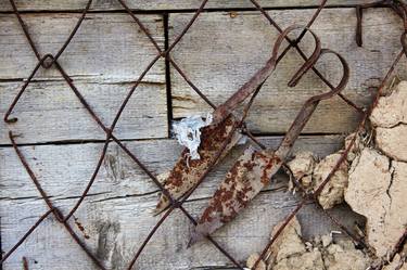 Old rusty shears for shearing sheep thumb