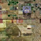 Collection Abdel Bounane (Digital Mogul)