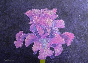Classic Wine - abstract iris flower thumb