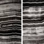 Collection John Approved - Roscoe