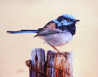 Print of Fine Art Animal Paintings by Leandri Vermeulen