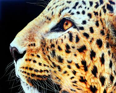 Print of Photorealism Animal Paintings by Leandri Vermeulen