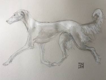 Original Figurative Animal Drawings by Ian Males