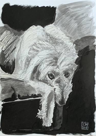 Original Abstract Animal Drawings by Ian Males