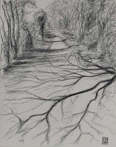 Original Expressionism Nature Drawings by Ian Males