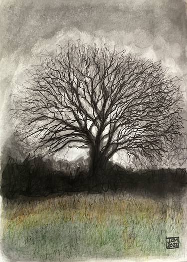 Original Expressionism Landscape Drawings by Ian Males