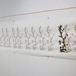 growth rendering device (drawing) by David Bowen