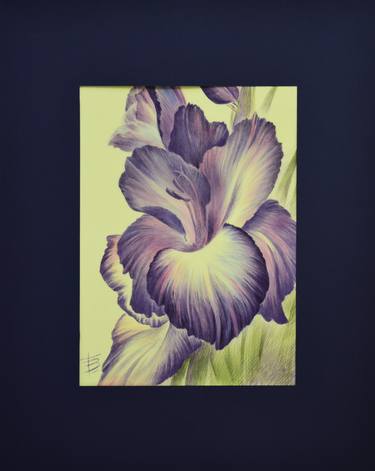 Original Illustration Floral Paintings by Tamila Zayferd