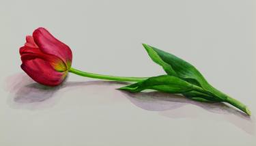 Print of Realism Floral Paintings by Tamila Zayferd