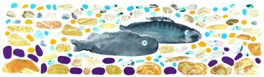 Original Illustration Fish Collage by Tamila Zayferd