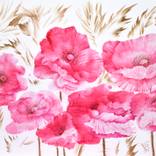 Pink poppies by Tamila Zayferd