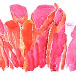 Corals by Tamila Zayferd
