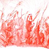 Corals. At the bottom of the sea. by Tamila Zayferd