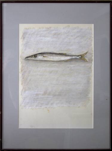 Original Fine Art Fish Drawings by gregory west