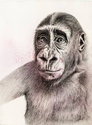 Print of Fine Art Animal Drawings by Emmanouela Liagkou