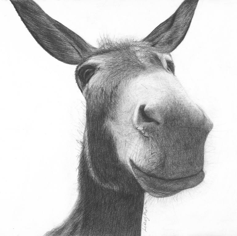 donkey drawing