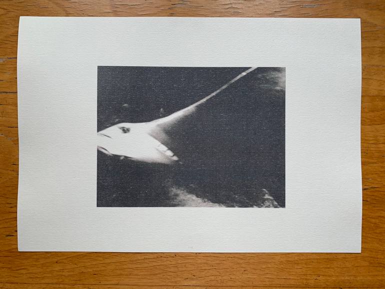 Original Documentary Animal Photography by Wojciech J Walkowicz