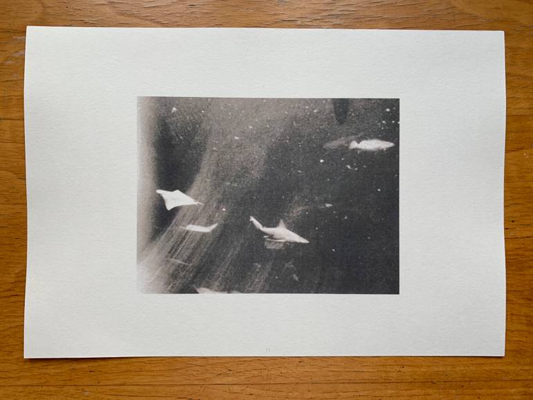 Original Documentary Animal Photography by Wojciech J Walkowicz