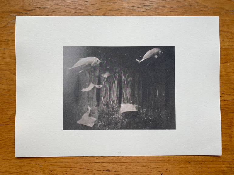 Original Documentary Animal Photography by Wojciech J Walkowicz