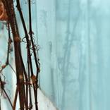 Entwine - Limited Edition 1 of 5 by Penelope Hunt