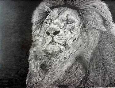 lion the king of jungle detailed pencil art thumb