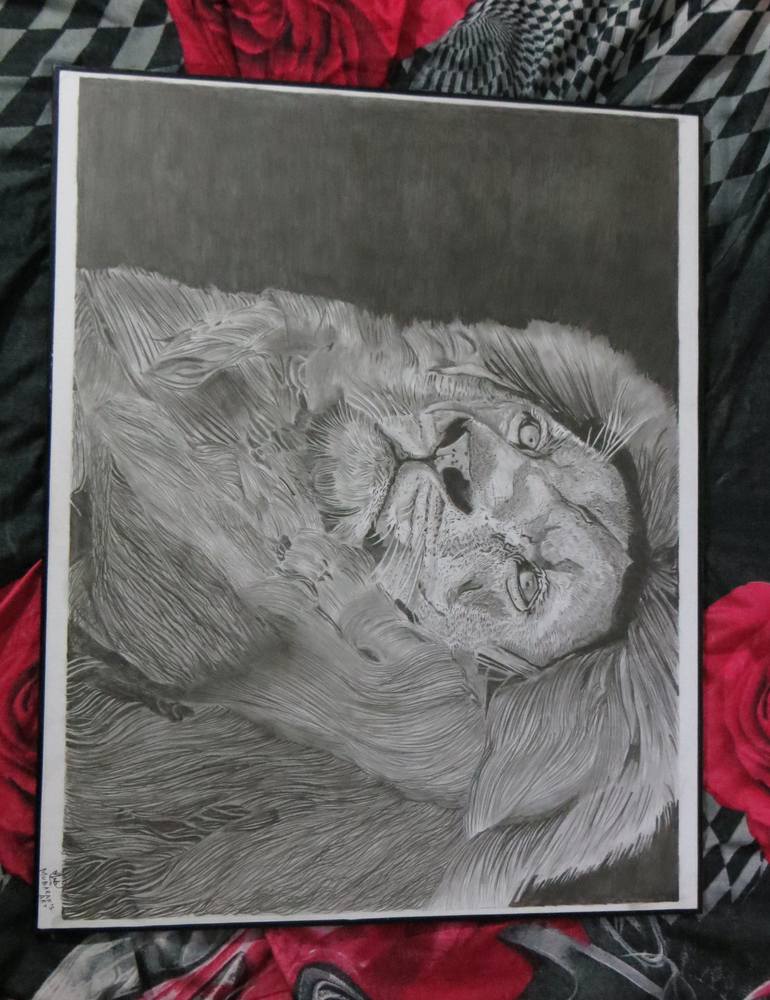 Original Photorealism Animal Drawing by Dr Mubarak Muhammad Ali