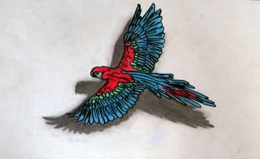 Australian Parrot 3d Art thumb