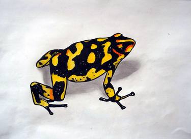 Frog Colored art on paper thumb
