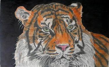 Tiger colorful work thumb