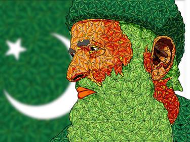 Green Economy Art Series 4 Dr. Abdul Sattar Edhi thumb