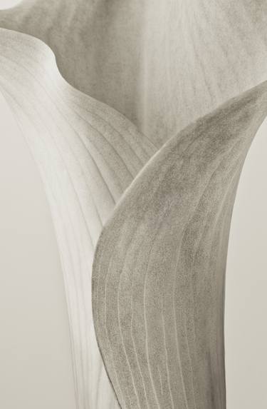Saatchi Art Artist Gary Mulcahey; Photography, “Lily - Limited Edition 1 of 10” #art