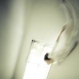 REALIZATION - Transformation of White #9 by Windee Winata