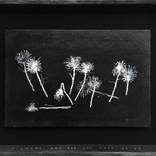 Flowers and The Joy They Bring by Windee Winata