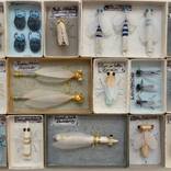 Ghost Insects by Rebecca Lisle