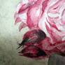 Rose closeup