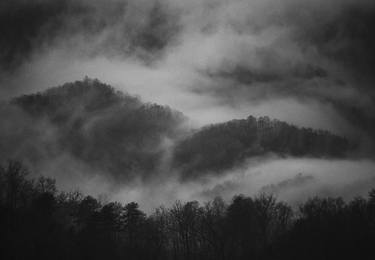 Mountain Mist I, NC, USA thumb