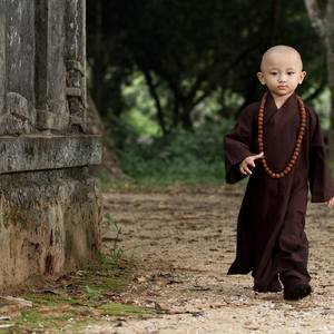 Collection Cute monk In the village temple