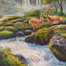 Close up of stream and deer