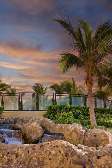 Palm Tree and Fountain at Dusk thumb